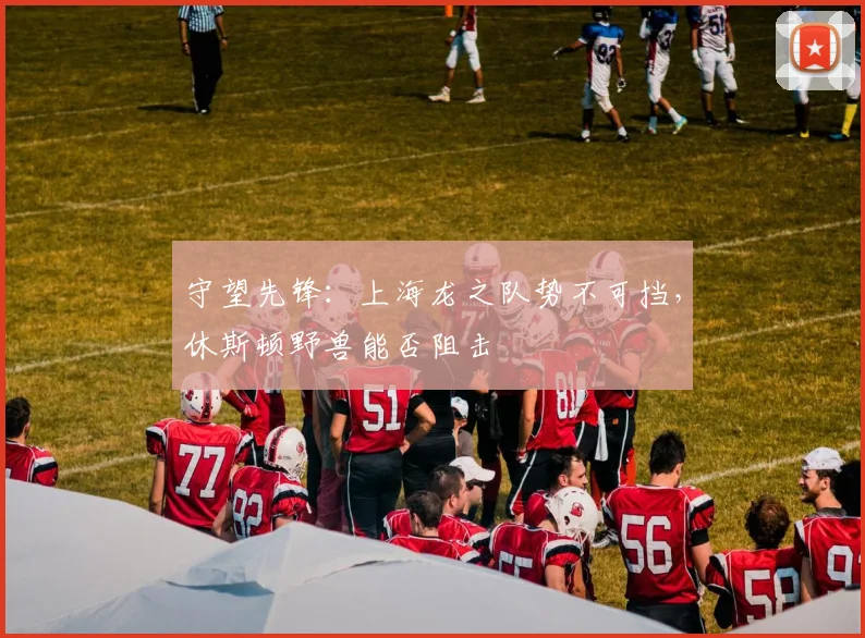 守望先锋：上海龙之队势不可挡，休斯顿野兽能否阻击