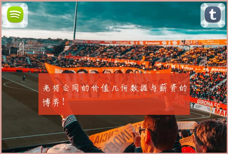 老将合同的价值几何数据与薪资的博弈!